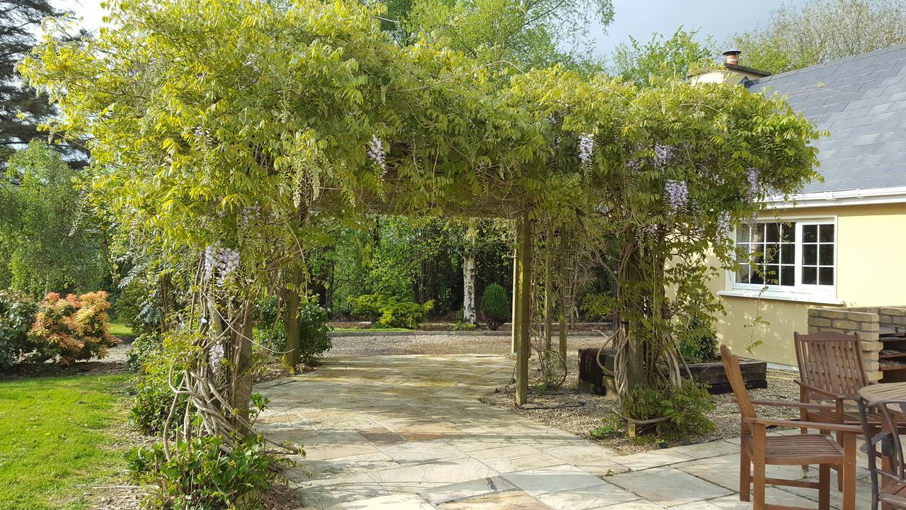 Bed and Breakfast Brookvale Wellingtonbridge Esterno foto