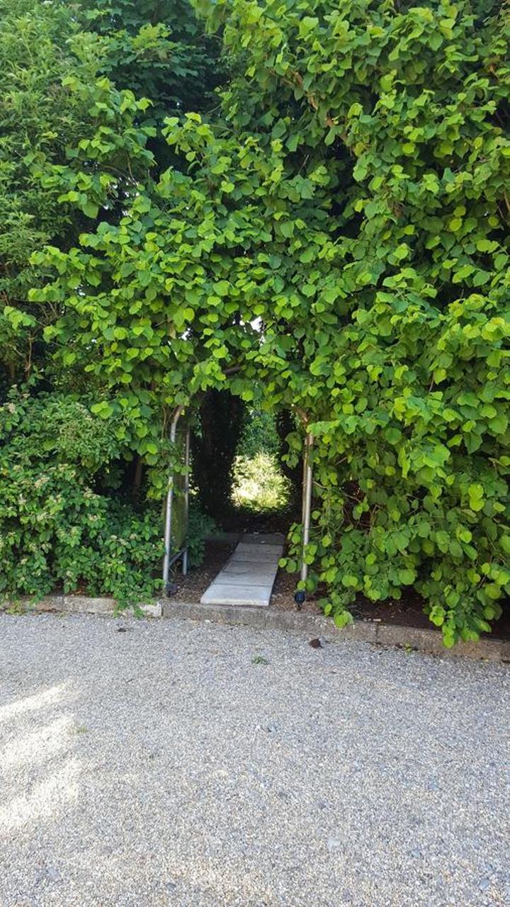 Bed and Breakfast Brookvale Wellingtonbridge Esterno foto